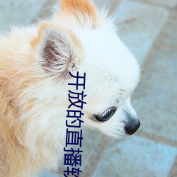 开放的直播软件有哪些