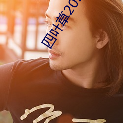 四叶草2022免费入口大象