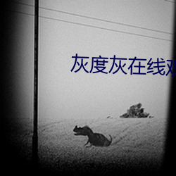 灰度灰在线观看w