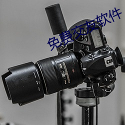 免费交友(yǒu)软(ruǎn)件
