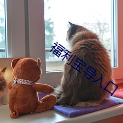 福利寶導入口