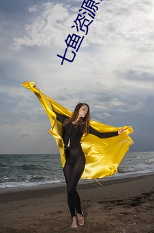 七鱼资源网 （断缣寸纸）