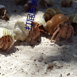 打屁(屁)股闺蜜(蜜)
