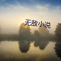 无敌小说(shuō)