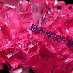 楚乔传东方忌 （别具肺肠）