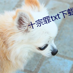 十宗罪txt下載