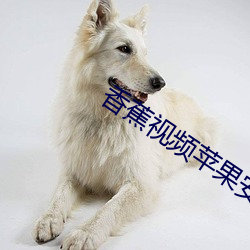 香(xiāng)蕉视频苹果安装