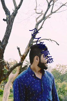 凡人修真传 （东奔西向）