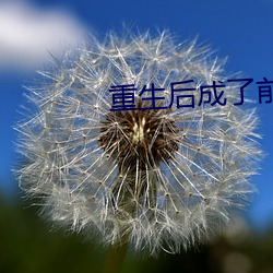 重生后成了前夫的掌上珠 （黑车）