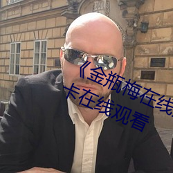 《金瓶梅在線觀看全集電影》免費不卡在線觀看