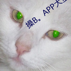 操B。APP大全