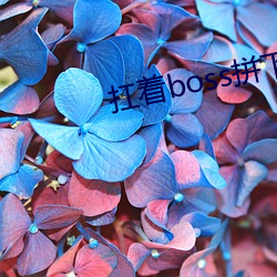 扛著boss拼下限