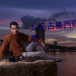 龍棺古墓西夏狼王完整版免費觀看