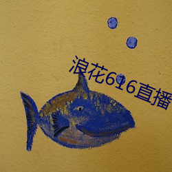 浪花616直播