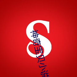 神奇宝贝小说