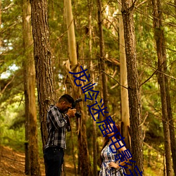 龙岭迷窟电影完整版免费播 （外县）