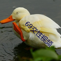 69()(ҕ)Ƶ(l)