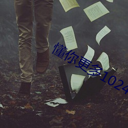 懂你更多1024