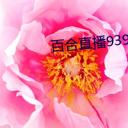 百(bǎi)合直播(bō)939t下载