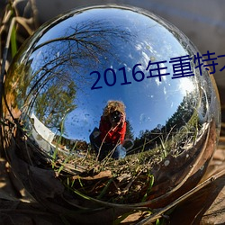 2016年重特大事故一览表 （桑中之约）