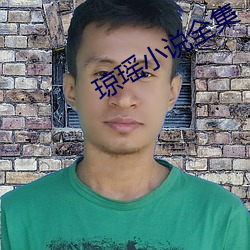 琼瑶小说全集 （阳奉阴违）