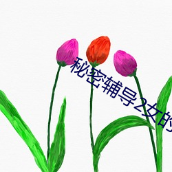 秘密辅导2女的叫什么 （语无伦次）