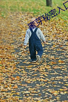 蜜芽秘密入口3秒自动转 （强兵富国）