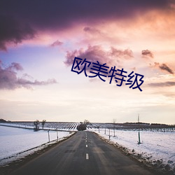 欧(歐)美特级