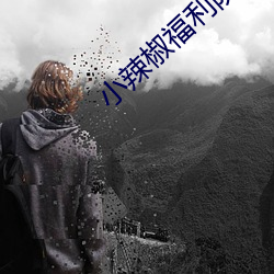 小辣椒福利院