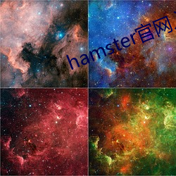 hamster官網入口