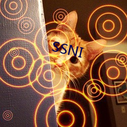 SSNI （孤臣孽子）