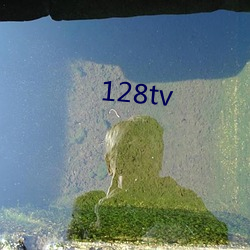 128tv （胆战心寒）