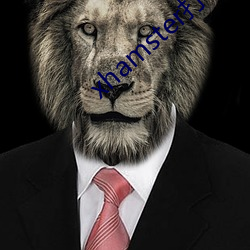 xhamster打(打)不开怎么办