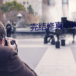 完结修真小说