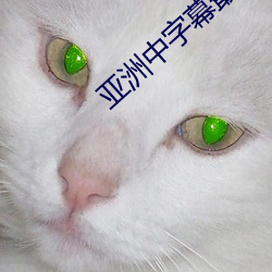 亞洲中字幕最新2021無限