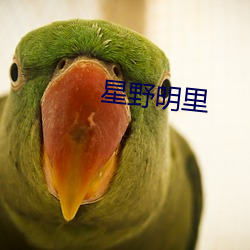 星野明里