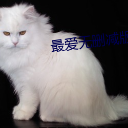 最爱无删减版在线观看(看)视(視)频