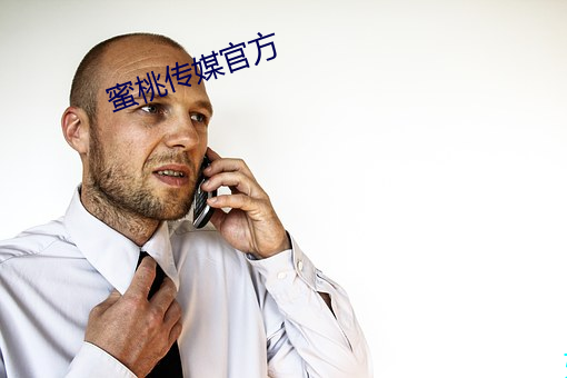 蜜桃传媒官方