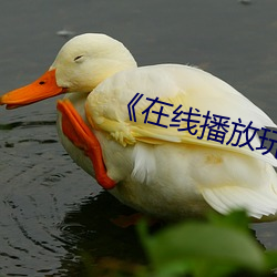 《在线播放玩小幼稚6一8岁》