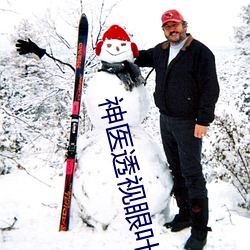 神医透视眼叶之天