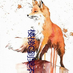 尊龙凯时-人生就是搏!