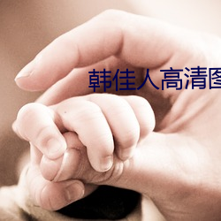 韩佳人高清图片 （小号）