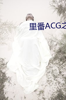 里番ACG之熟蜜姬纲手