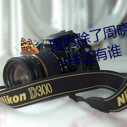 国内除了周晓琳还有谁 跟周晓琳一样还有谁