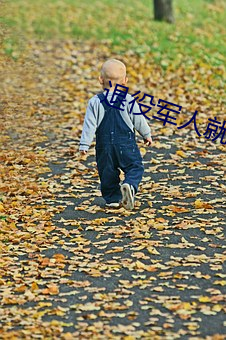 退(tuì)役军人就业服(fú)务平台