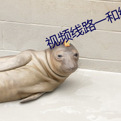 视频线路一和线路二的区别