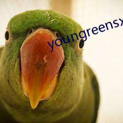 youngreensxx