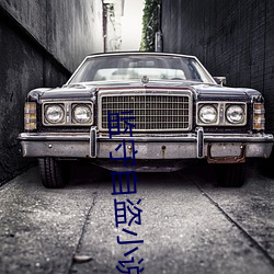 监守自盗小说 （本末）