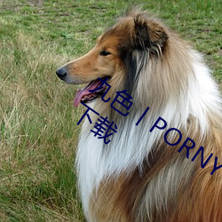 九色丨PORNY丨蝌蚪视频(pín)不会强(qiáng)制用户下载