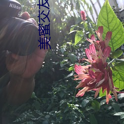 美蜜(mì)交友软(ruǎn)件